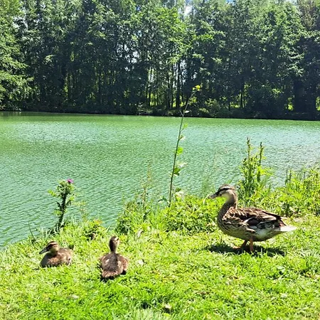 Le Cocon Du Bourbourg